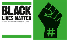 Load image into Gallery viewer, The Black History Book