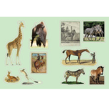 Load image into Gallery viewer, Cabinet Of Curiosities