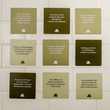 Load image into Gallery viewer, Shower Affirmations  Grounding