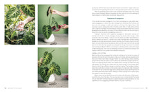 Load image into Gallery viewer, Welcome To The Jungle