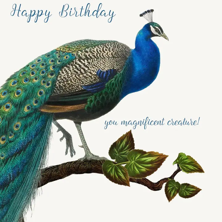 Magnificent Creature Birthday Card