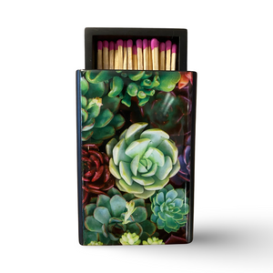 Wooden Matchbox  Succulents   (Back in Stock Soon!)