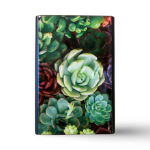 Load image into Gallery viewer, Wooden Matchbox  Succulents   (Back in Stock Soon!)
