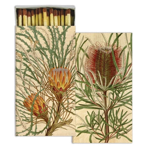 Boxed Matches  Protea