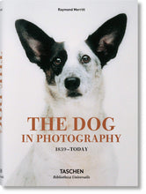 Load image into Gallery viewer, The Dog in Photography
