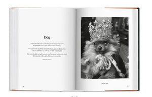 The Dog in Photography